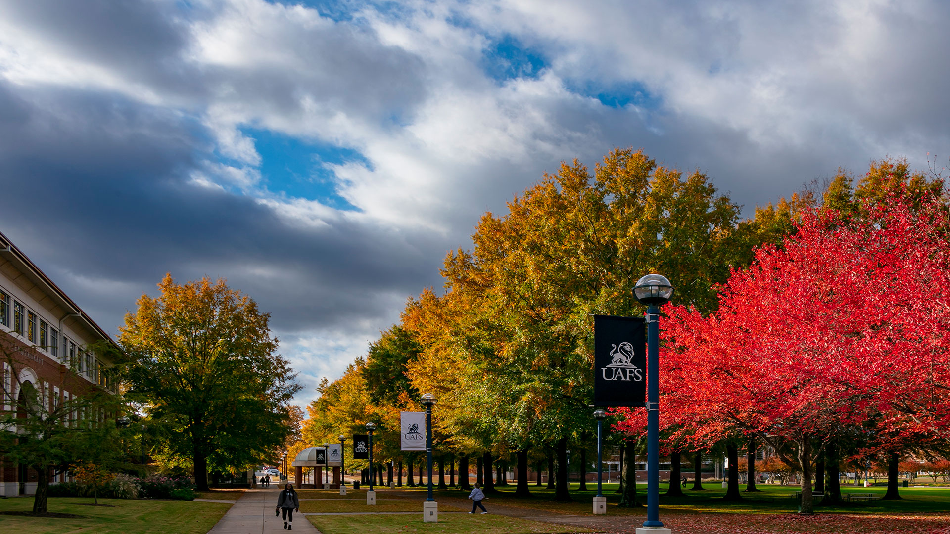 Fall photo of Campus